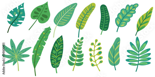 Palm leaf, tropical tree, banana leaves, jungle plant, exotic foliage vector icon. Hawaiian illustration. Cartoon summer fern, botanical collection, simple green set isolated on white background.