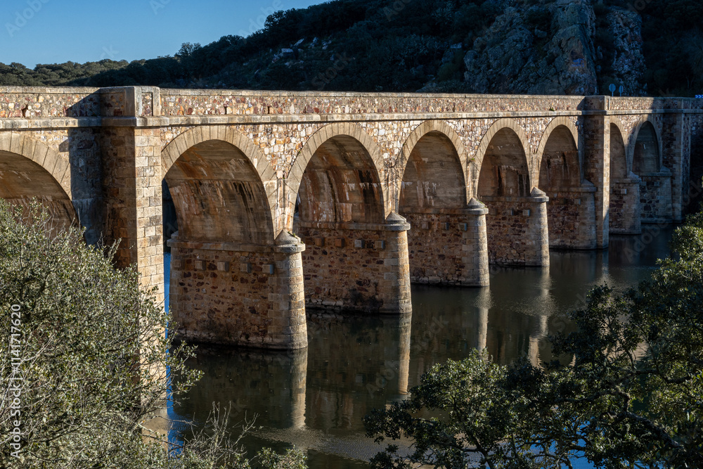 Fototapeta premium Quintos Bridge Viaduct over the Esla River, Zamora, Castile and Leon, Spain.