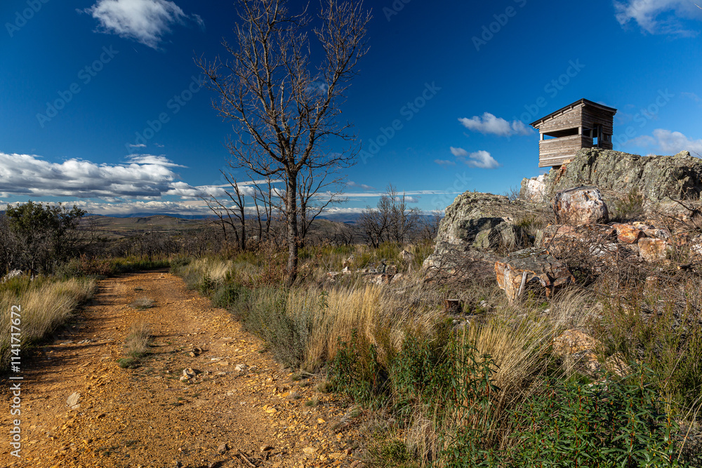 Wooden observatory at the Mirador de La Pedrizona, trail and burnt mountain after a forest fire. Sierra de la Culebra, Ferreras de Abajo, Zamora, Castile and Leon, Spain. Wooden observatory at the Mirador de La Pedrizona, trail and burnt mountain after a forest fire. Sierra de la Culebra, Ferreras de Abajo, Zamora, Castile and Leon, Spain.