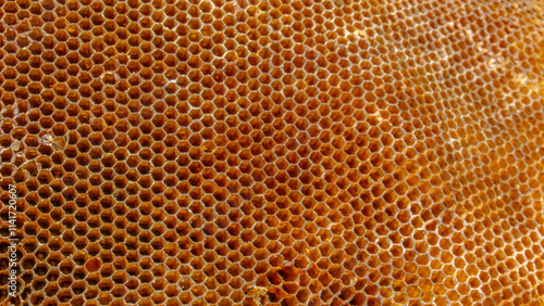 Honeycomb structure with hexagonal cells, showcasing natural patterns and textures. warm golden color and intricate design highlight beauty of nature architecture