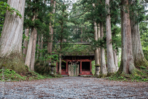 Obraz na płótnie 戸隠神社参道・随神門