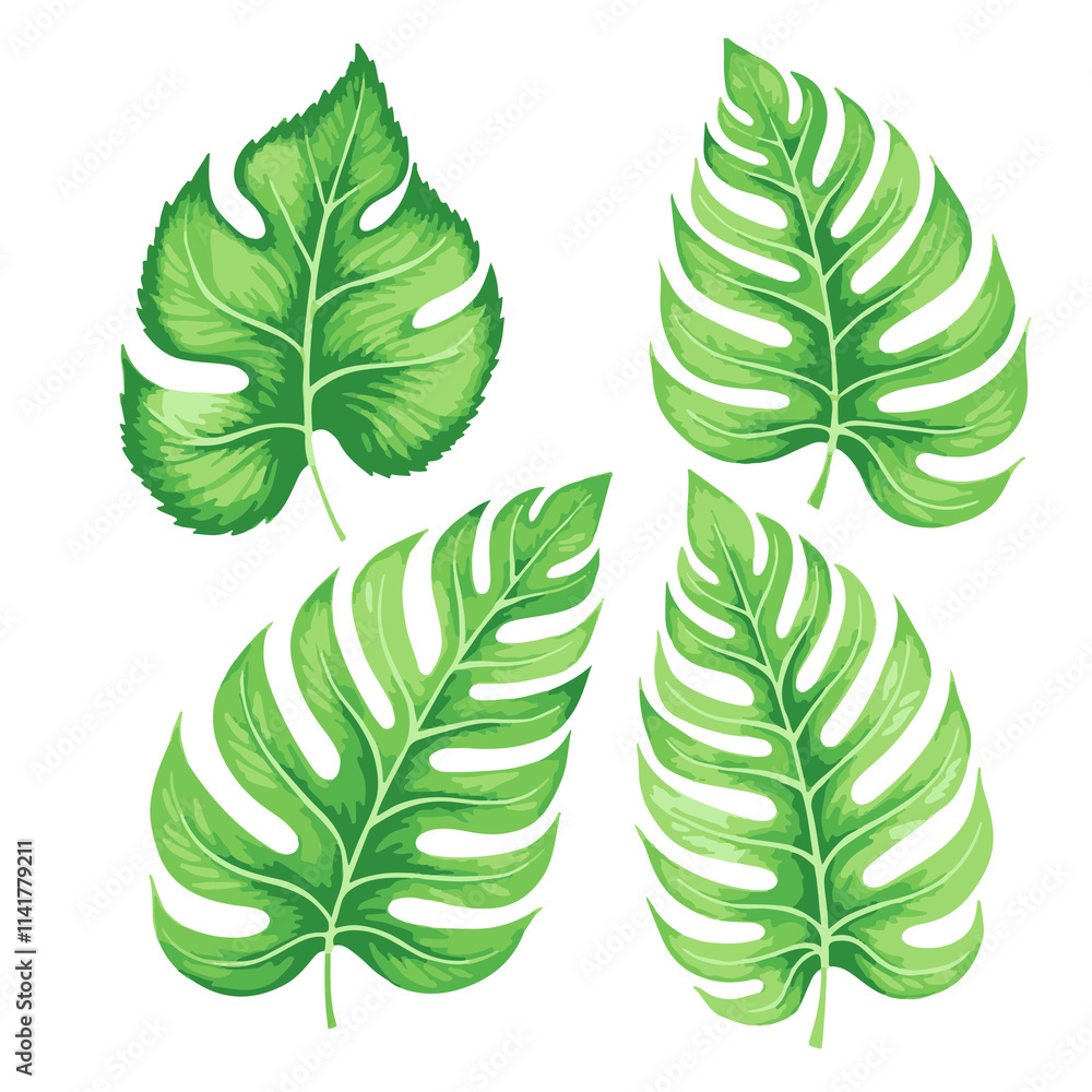 Fototapeta premium set of green leaves