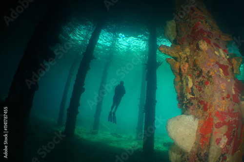 a diver under a pier on the island of Curacao photo