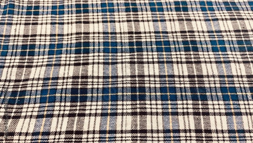 A seamless blue plaid fabric pattern with a checkered design in blue and white, showcasing a textured textile with squares and lines, perfect for use as a backdrop or tablecloth illustration photo