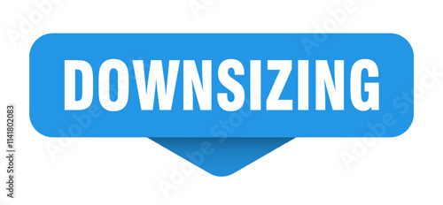 DOWNSIZING banner