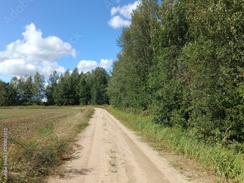 Road in forest in Siauliai county during sunny summer day. Oak and birch tree woodland. Sunny day with white clouds in blue sky. Bushes are growing in woods. Sandy road. Nature. Miskas.