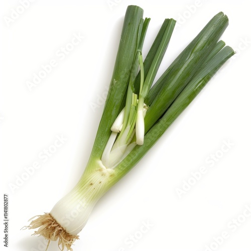 Fresh green onion with long leafy tops and a white bulb, resting on a white background.
