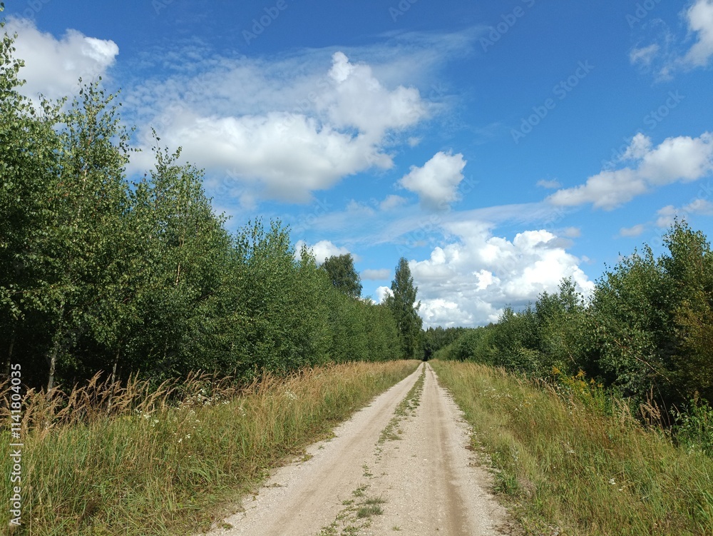 Road in forest in Siauliai county during sunny summer day. Oak and birch tree woodland. Sunny day with white clouds in blue sky. Bushes are growing in woods. Sandy road. Nature. Miskas. Road in forest in Siauliai county during sunny summer day. Oak and birch tree woodland. Sunny day with white clouds in blue sky. Bushes are growing in woods. Sandy road. Nature. Miskas.