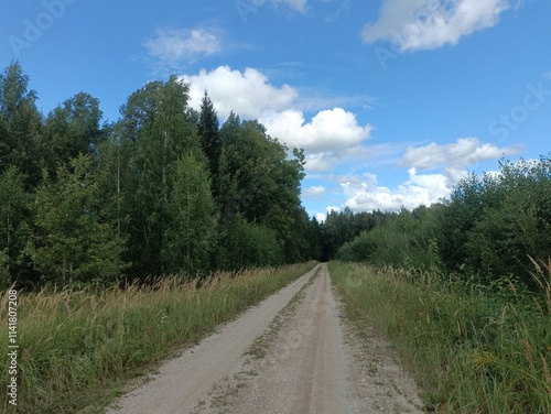 Road in forest in Siauliai county during sunny summer day. Oak and birch tree woodland. Sunny day with white clouds in blue sky. Bushes are growing in woods. Sandy road. Nature. Miskas.