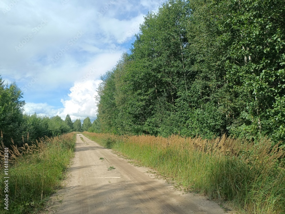 Road in forest in Siauliai county during sunny summer day. Oak and birch tree woodland. Sunny day with white clouds in blue sky. Bushes are growing in woods. Sandy road. Nature. Miskas. Road in forest in Siauliai county during sunny summer day. Oak and birch tree woodland. Sunny day with white clouds in blue sky. Bushes are growing in woods. Sandy road. Nature. Miskas.