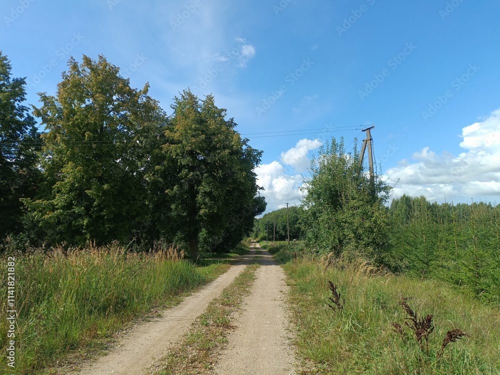 Road in forest in Siauliai county during sunny summer day. Oak and birch tree woodland. Sunny day with white clouds in blue sky. Bushes are growing in woods. Sandy road. Nature. Miskas. Road in forest in Siauliai county during sunny summer day. Oak and birch tree woodland. Sunny day with white clouds in blue sky. Bushes are growing in woods. Sandy road. Nature. Miskas.