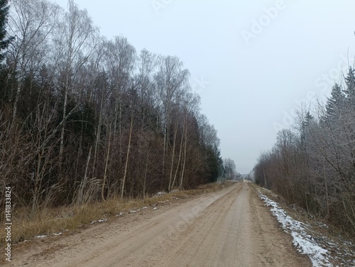 Road in forest in Siauliai county during cloudy winter day. Oak and birch tree woodland. Cloudy day with white clouds in sky. Bushes are growing in woods. Sandy road. Nature. Winter season. Miskas. photo