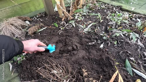 Using a smalll hand shovel in garden. photo