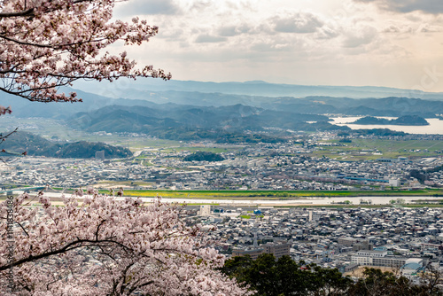 Cherry Blossoms on Kyusho Mountain Overlooking Tottori City with Fields of Rapeseed Along Sendaigawa River, Japan photo