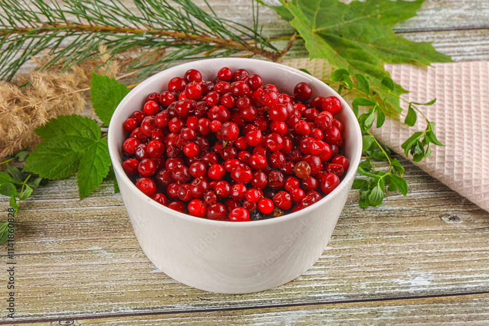 Natural organic wild forwst lingonberry Natural organic wild forwst lingonberry