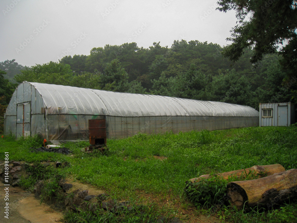 Greenhouses on a rural farm, showcasing sustainable agriculture and the cultivation of crops in controlled environments. Greenhouses on a rural farm, showcasing sustainable agriculture and the cultivation of crops in controlled environments.