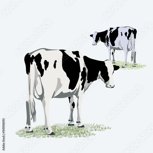 Cow cattle  poultry farm animal collection hand drawn vector illustration. Isolated on white background.