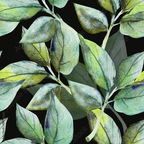 Laurel tree branches.Watercolor.Pattern seamless. Image on white and color background.