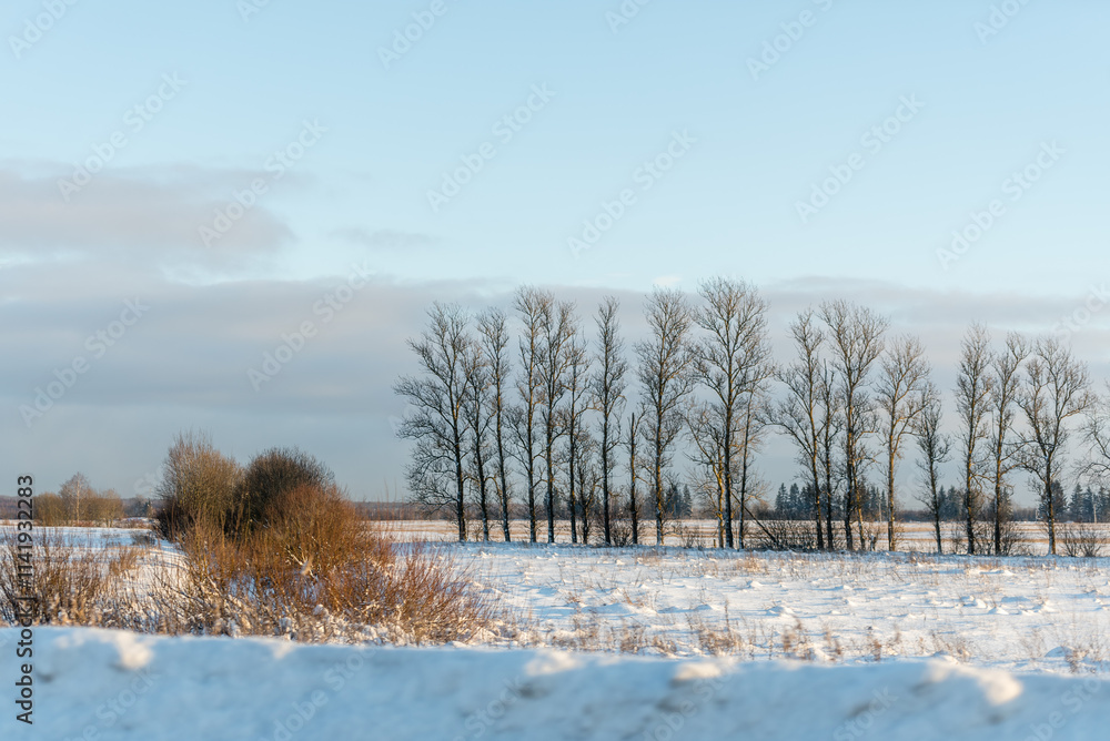 Winter landscape on a sunny day - field and trees Winter landscape on a sunny day - field and trees