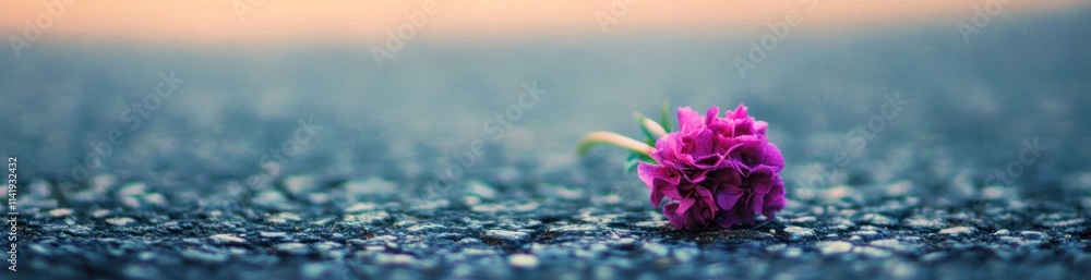 Single pink flower on textured ground, blurred background. Single pink flower on textured ground, blurred background.