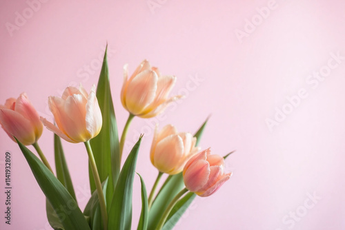 Bouquet of tulips in various stages of bloom