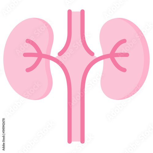 Nephrology Icon