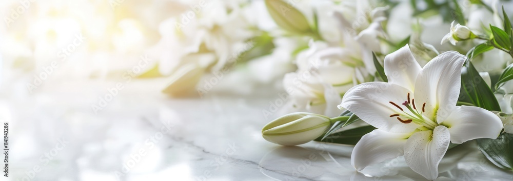 Elegant white lilies on marble surface with soft light. Elegant white lilies on marble surface with soft light.