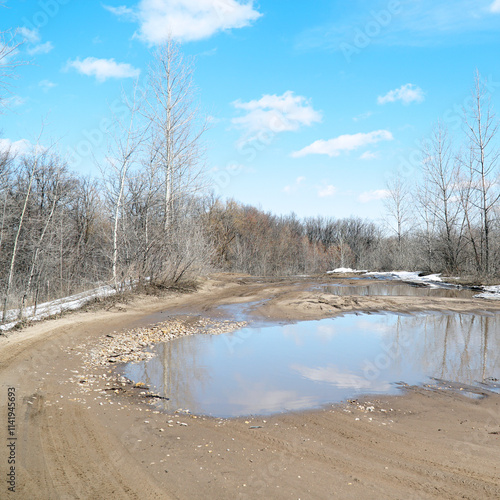 Wallpaper Mural A muddy spring country road with big puddles and melting snow Torontodigital.ca