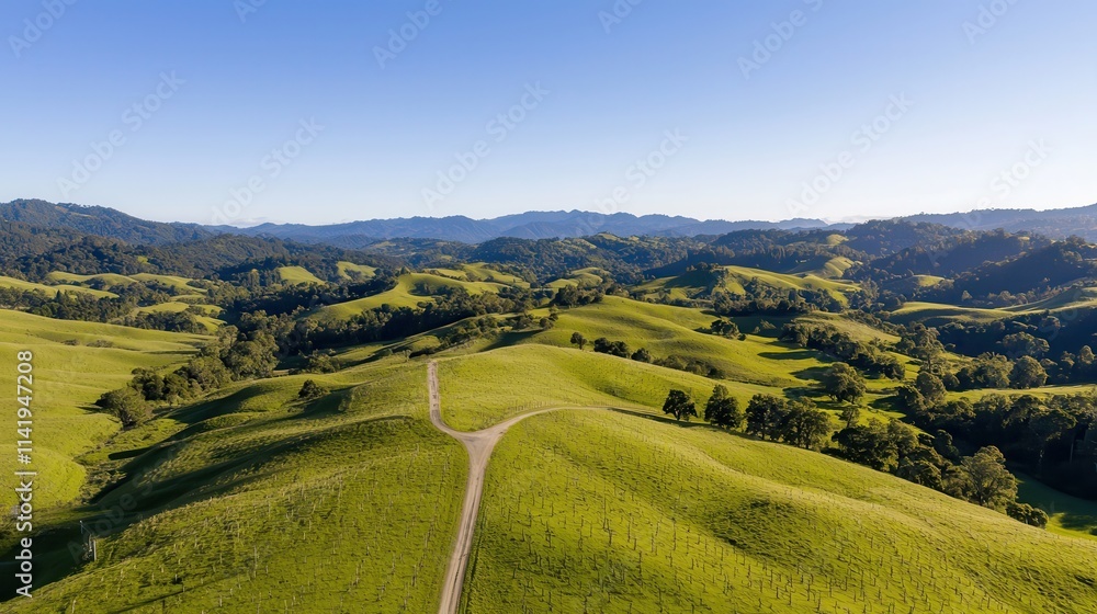 Golden rolling hills with a clear blue sky, capturing the beauty of a rural landscape Golden rolling hills with a clear blue sky, capturing the beauty of a rural landscape