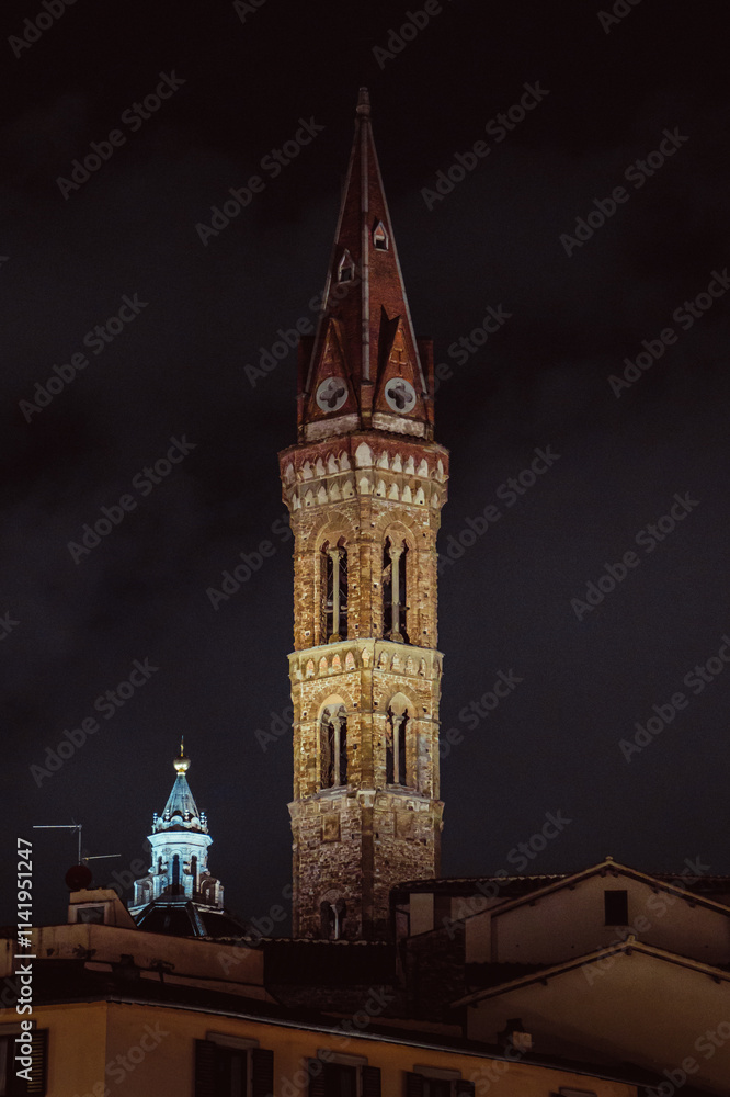 Fototapeta premium Clocher de l'église de nuit