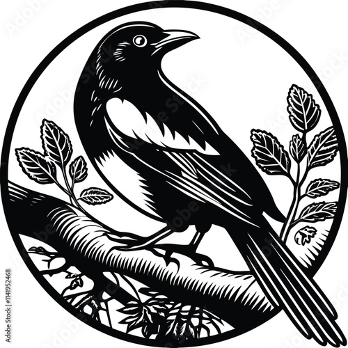 Magpie vector shilhoeutee