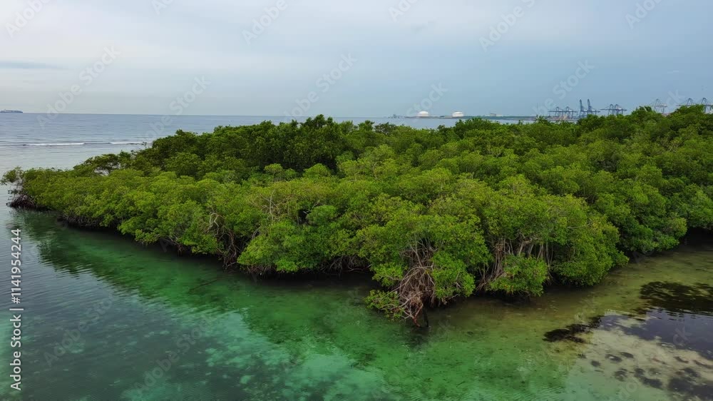 La Matica islet, mangrove forest, Playa Boca Chica beach, Caucedo port in background, Santo Domingo in Dominican Republic. Aerial sideways at low altitude La Matica islet, mangrove forest, Playa Boca Chica beach, Caucedo port in background, Santo Domingo in Dominican Republic. Aerial sideways at low altitude
