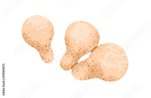 Stump puffball mushroom. Pear-shaped fungi with ronded cap. Natural edible fungus. Autumn forest, fall food. Seasonal harvest. Flat graphic vector illustration isolated on white background