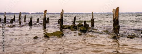 Obraz na płótnie an der Ostsee, Natur und Landschaft auf der Insel Rügen, Mecklenburg-Vorpommern, Deutschland w salonie