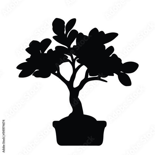 Bonsai tree in a small pot silhouette illustration isolated on a white background