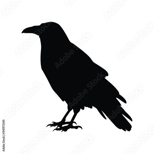 Crow black silhouette vector illustration