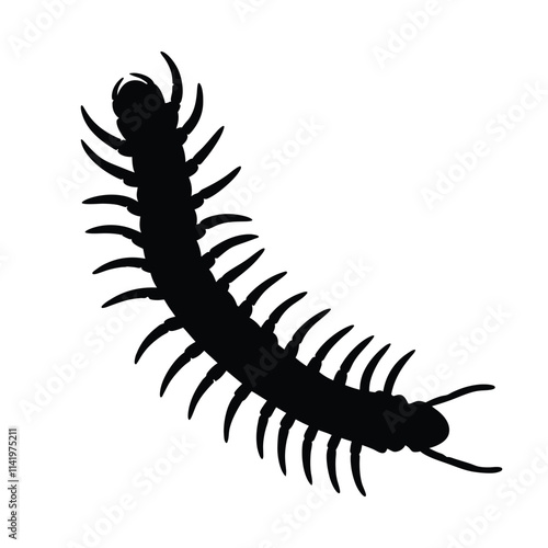 Centipede black silhouette illustration isolated on a white background