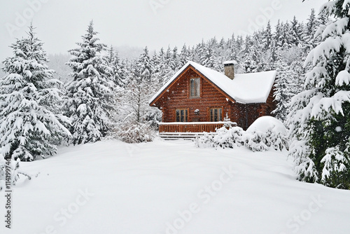 Snow-covered cabin surrounded by tall trees