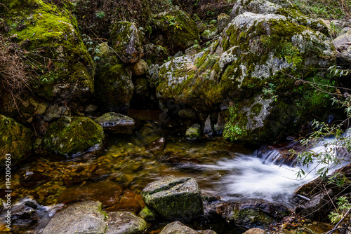 waterfall in the forest