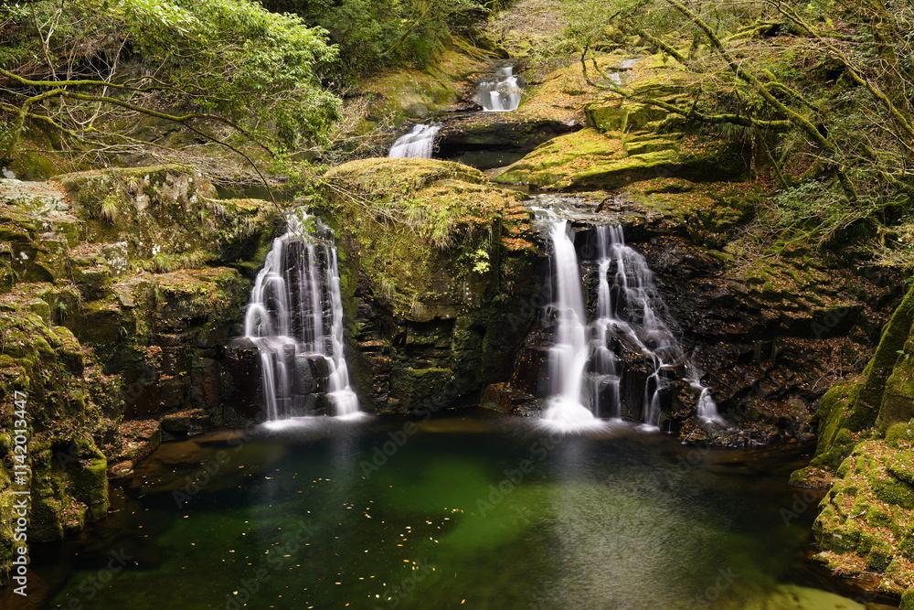 Fototapeta premium 赤目四十八滝 荷担滝 紅葉風景