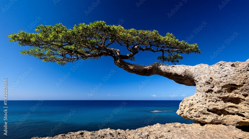 Resilience by the Sea: A lone, windswept pine tree dramatically leans over a rocky outcrop, its branches reaching towards a calm, azure sea under a vibrant blue sky. Resilience by the Sea: A lone, windswept pine tree dramatically leans over a rocky outcrop, its branches reaching towards a calm, azure sea under a vibrant blue sky.