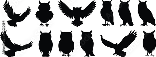 Owl silhouette set vector design big pack of bird illustration and icon