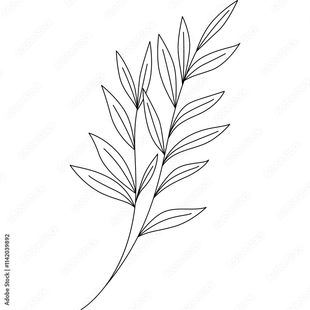 Fototapeta premium Leaves Line Illustration