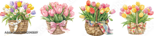 tulip basket watercolor clipart