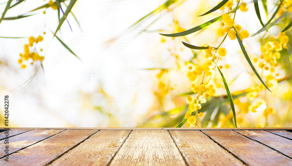 Spring beautiful nature background with blooming bright fluffy mimosa and empty wooden table in nature outdoors in sunlight.