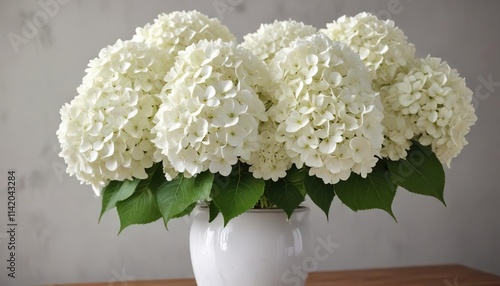 Large white mophead hydrangea flowers in a vase, white flowers, french hydrangea, flower bouquet