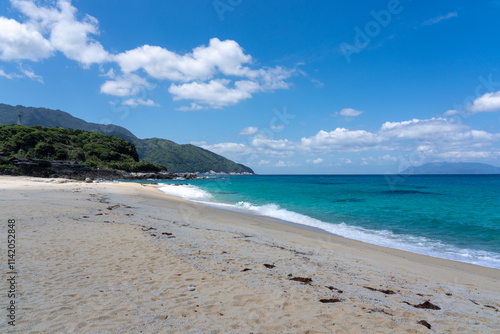 屋久島の屋久島永田いなか浜