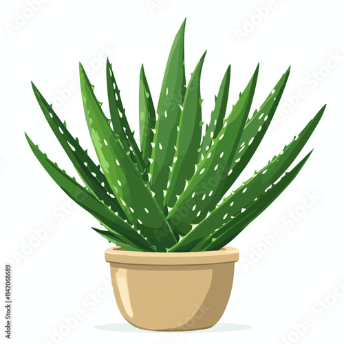 Aloe vera plant succulent vector clipart illustration with white background
