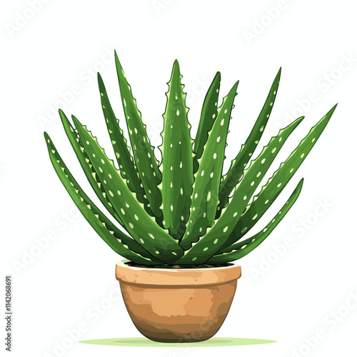 Aloe vera plant succulent vector clipart illustration with white background