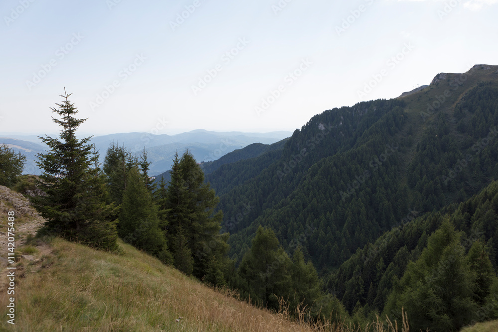Obraz premium Romania landscape on a cloudy summer day